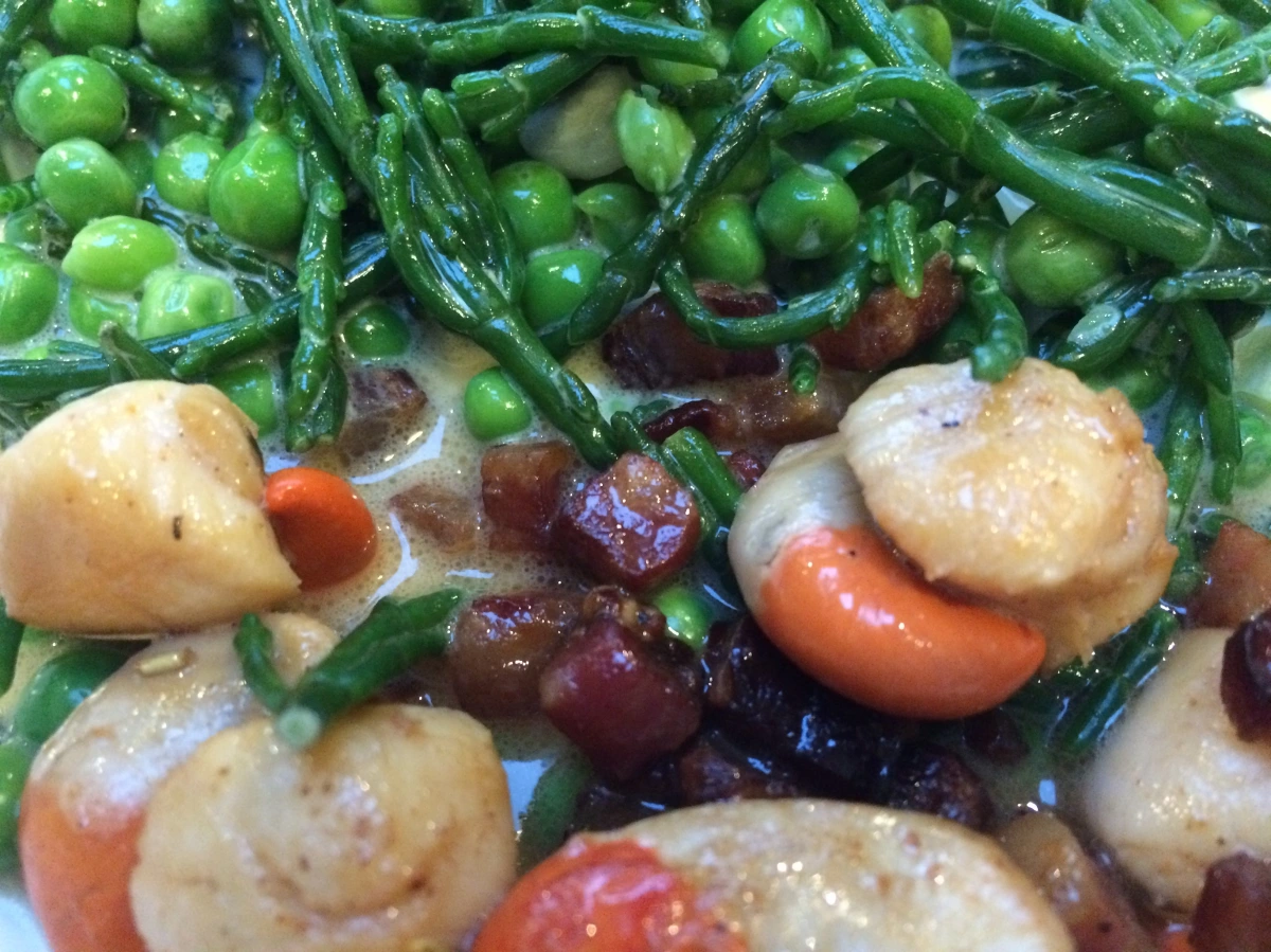 Scallops and bacon with samphire and peas